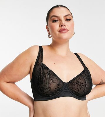 ASOS DESIGN Curve Jade fine velvet flock spot underwire bra in black