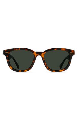 RAEN Myles 50mm Polarized Square Sunglasses in Huru /Green Polar