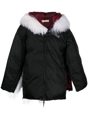 Marni split-sleeve feather-filled hooded jacket - Black