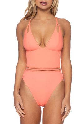Isabella Rose Queensland One-Piece Swimsuit in Frose