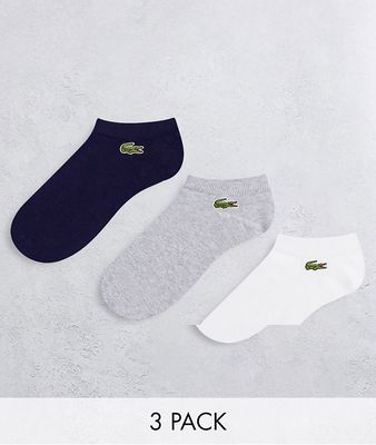 Lacoste 3 pack socks in multi