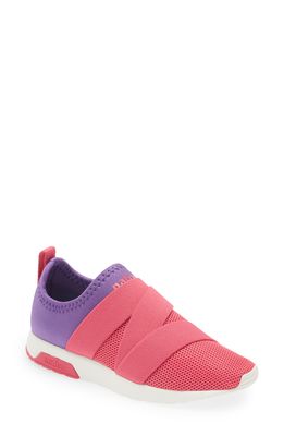 Native Shoes Phoenix Slip-On Vegan Sneaker in Starfish Purple/Pink