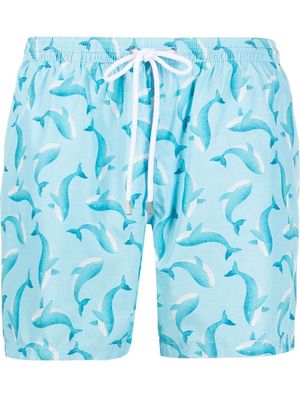 Barba whale print shorts - Blue