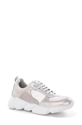 Yosi Samra Palmer Sneaker in Grey Multi