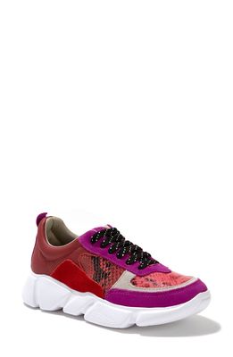 Yosi Samra Palmer Sneaker in Pink Multi