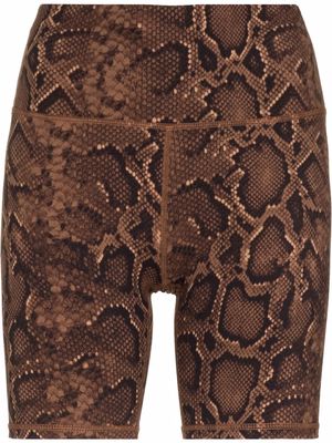 Varley Let's Go 7 snakeskin-print shorts - Brown