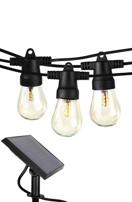 Brightech Ambience Pro Solar Outdoor String Lights in Black