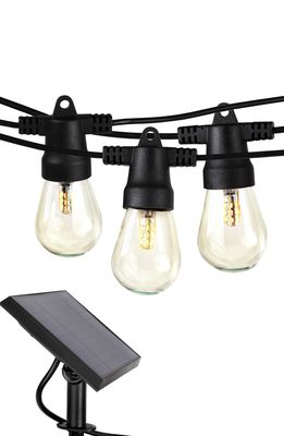 Brightech Ambience Solar Outdoor String Lights in Black