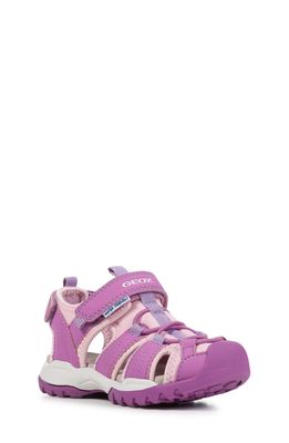 Geox Borealis Sneaker in Purple/Pink