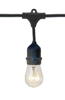 Brightech Ambience Pro Incandescent Outdoor String Lights in Black