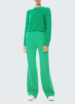 Leta Cropped Textured Knit Sweater