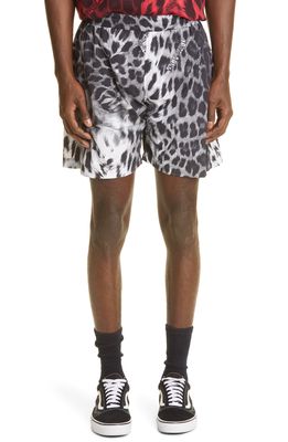 Aries Leopard Print Shorts in Beige