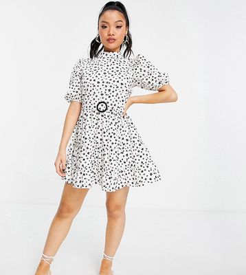 Miss Selfridge Petite Belted Poplin Dress-White
