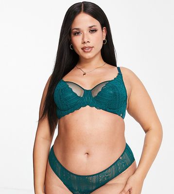Dorina Curve Moss lace and mesh non padded bra in green