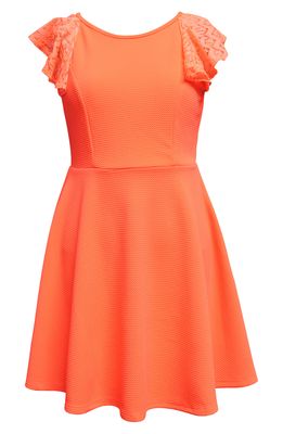 Ava & Yelly Lace Sleeve Skater Dress in Coral