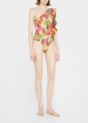 Fruit Dream One-Piece Swimsuit