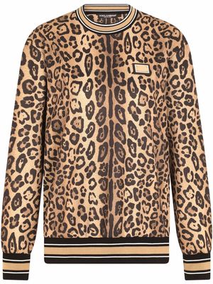 Dolce & Gabbana leopard-print sweatshirt - Brown