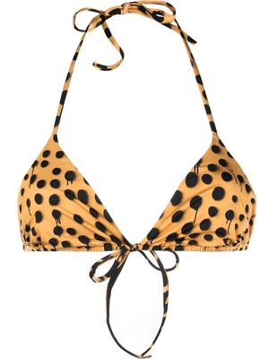 Dsquared2 leopard-print halterneck bikini top - Neutrals