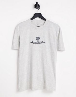 Abercrombie & Fitch t-shirt in gray heather with chest heritage logo