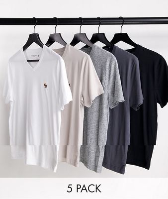 Abercrombie & Fitch 5-pack V-neck 3D icon logo T-shirt in white/beige/grays/black-Multi