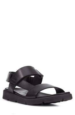 Geox Xand 2s Sandal in Black