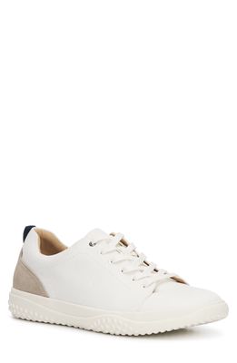 Vince Camuto Haben Woven Low Top Sneaker in Ivory/Pebble
