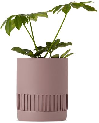 Capra Designs Purple Etch Planter