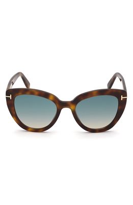 Tom Ford Izzi 53mm Cat Eye Sunglasses in Dark Havana /Gradient Brown