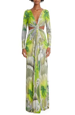 HALSTON Jen Plunge Neck Cutout Long Sleeve Gown in Tropical Orchid Print