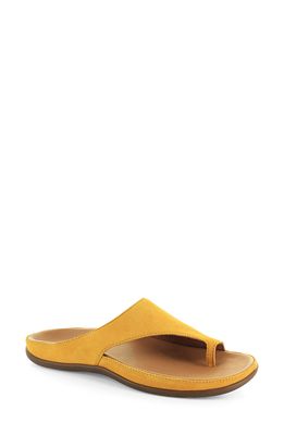 STRIVE Capri Slide Sandal in Amber
