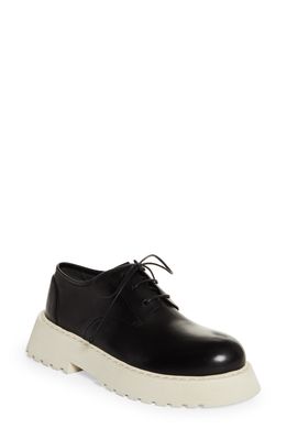 Marsell Micarro Derby in Black/White