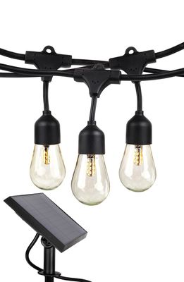 Brightech Ambience Solar Power Pro Incandescent Outdoor String Lights in Black