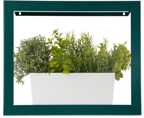 Modern Sprout Green Smart Growframe Planter