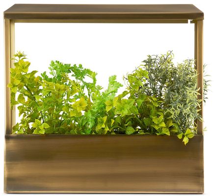 Modern Sprout Brass Smart Growhouse Planter