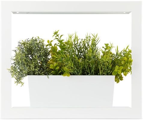 Modern Sprout White Smart Growhouse Planter