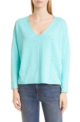 Eileen Fisher V-Neck Organic Linen & Cotton Sweater in Aqua