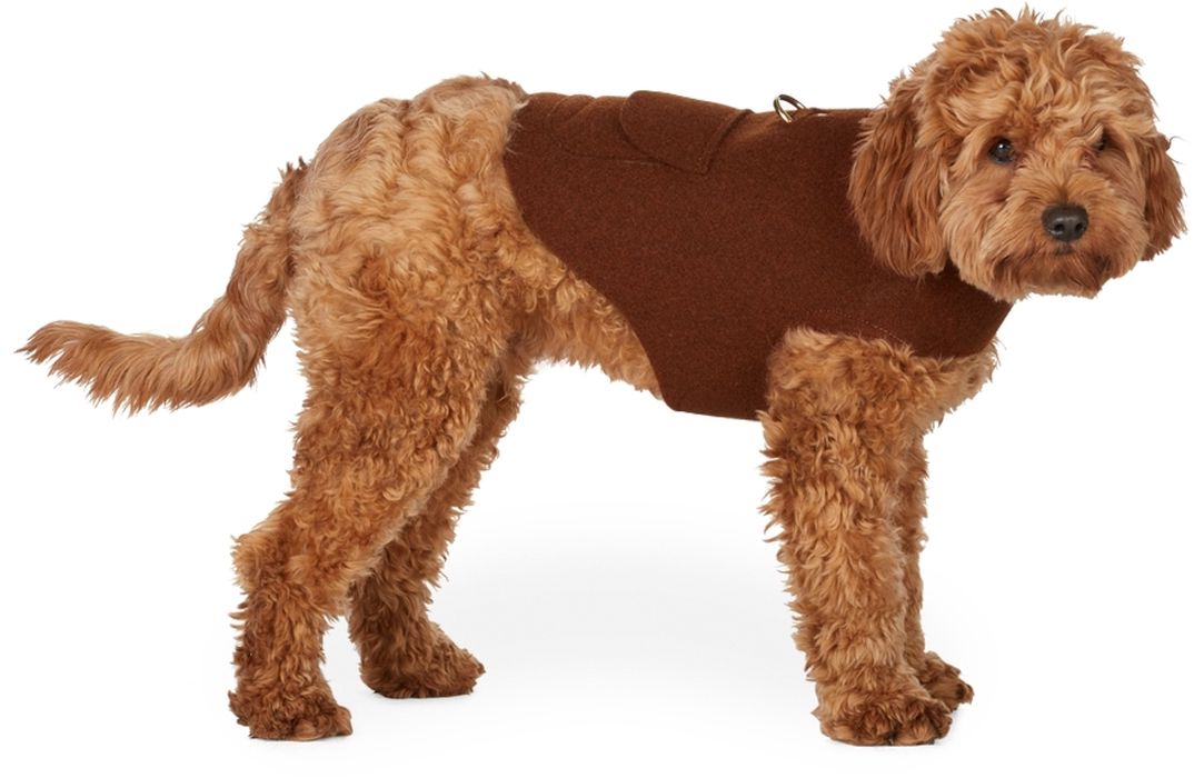 Fantastical Creatures Club Brown Wrap Up Jacket Harness