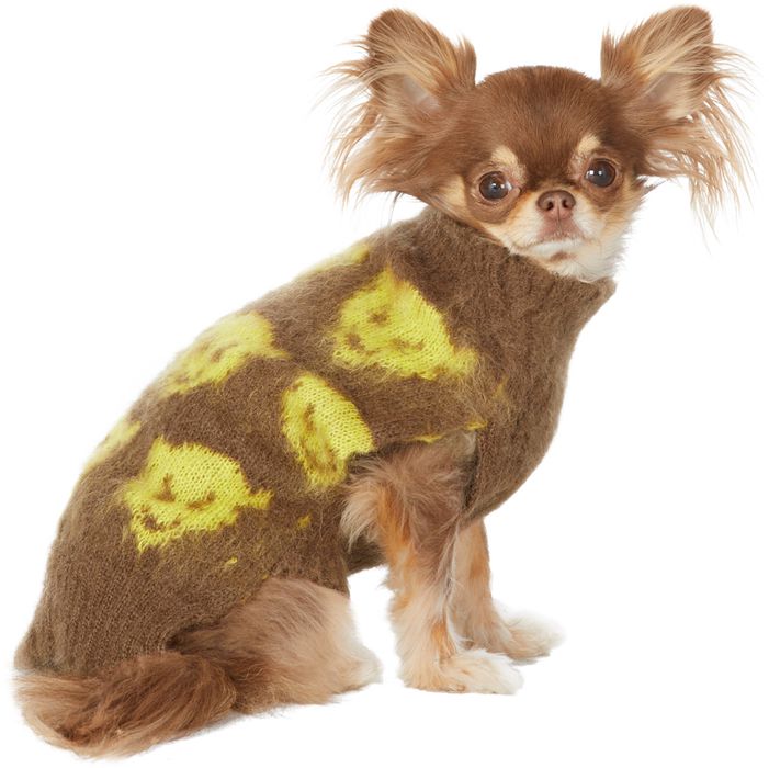 Ashley Williams Brown & Yellow Intarsia Devil Dog Sweater