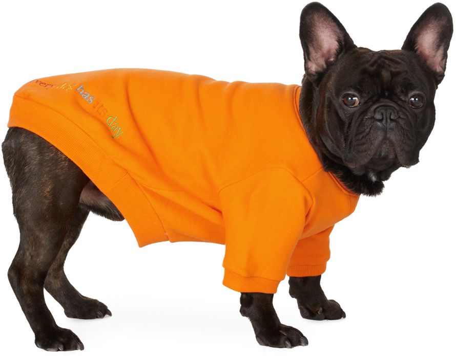 little beast Orange 'The Lucky Orange' Sweatshirt