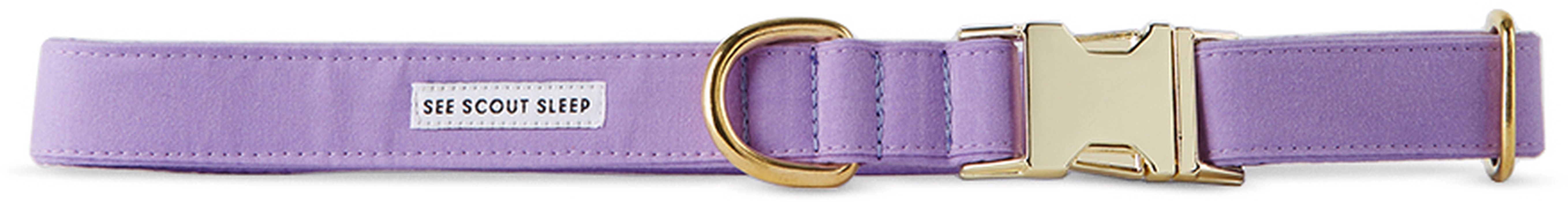 See Scout Sleep Purple The Scot Extra Large Standard Dog Collar