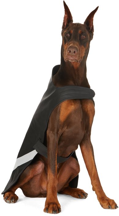 Stutterheim SSENSE Exclusive Black Lightweight Dog Raincoat