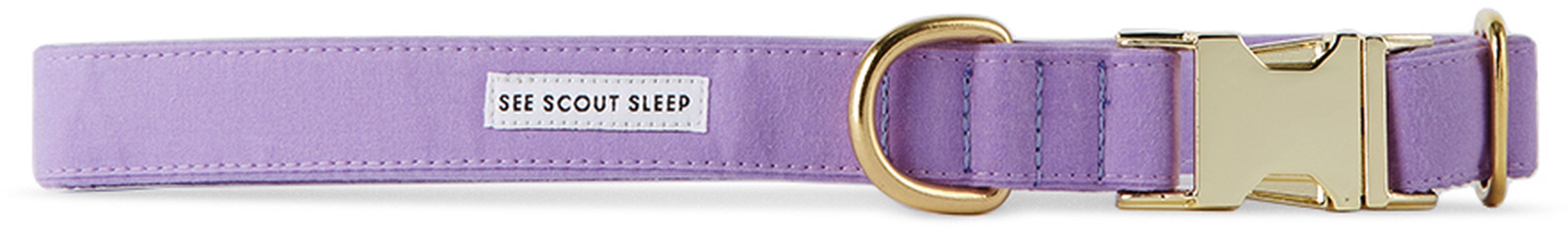 See Scout Sleep Purple The Scot Large Standard Dog Collar
