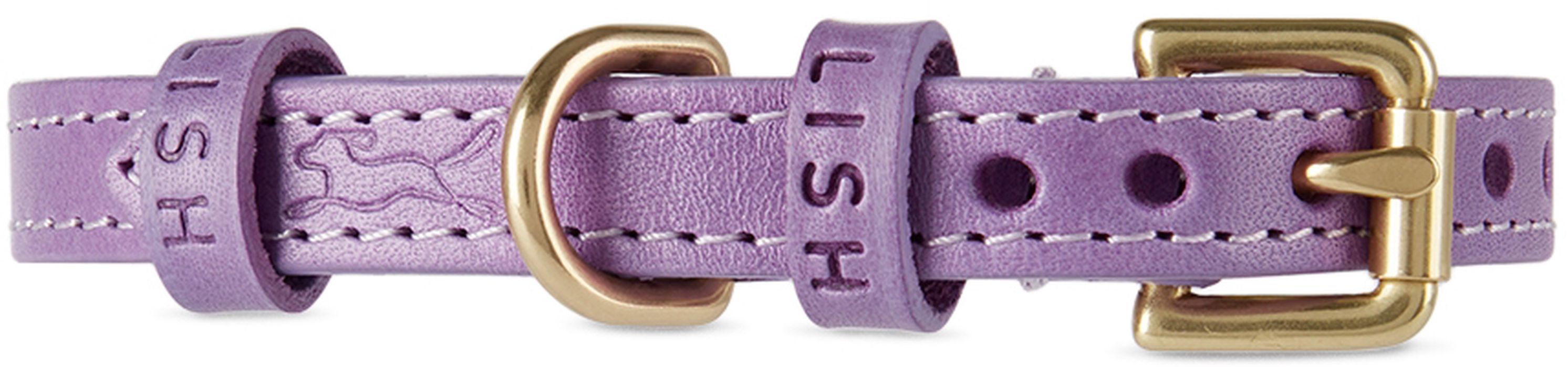 LISH Purple Small Coopers Collar