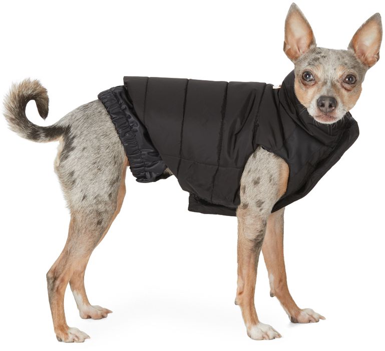 Moncler Genius Black Poldo Dog Couture Edition Taffeta Mondog Jacket