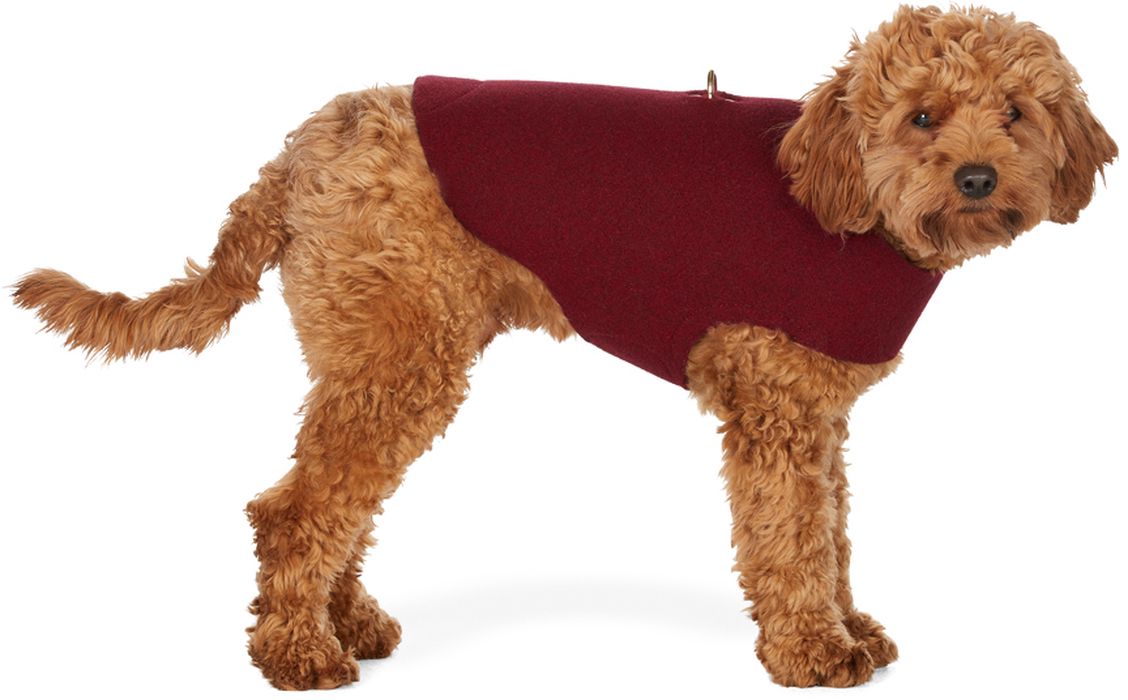 Fantastical Creatures Club Red Wrap Up Jacket Harness