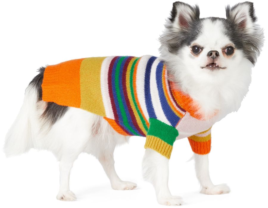 Ware of the Dog Multicolor Striped Sweater