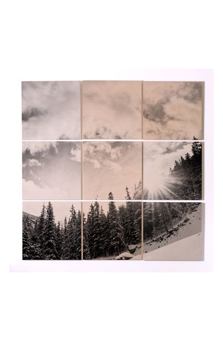 Deny Designs White Mountain 9-Piece Wood Wall Mural in Black