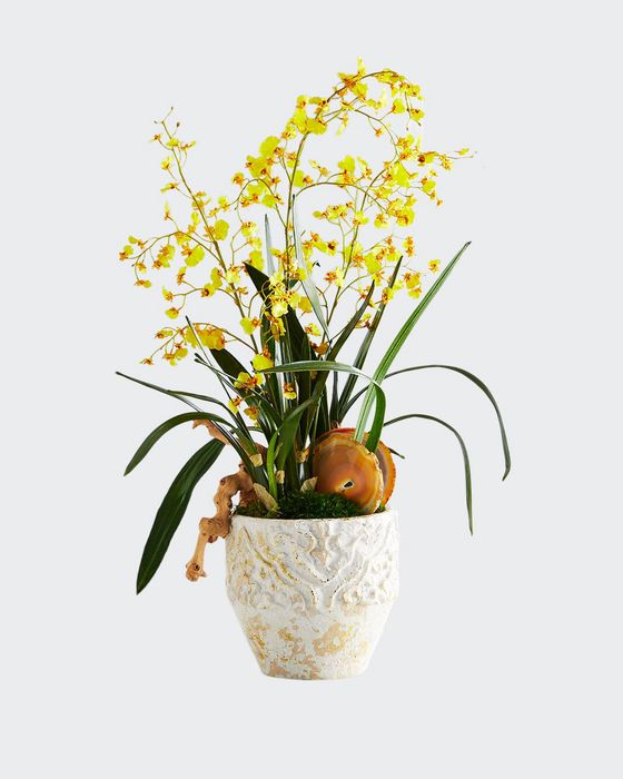 Yellow Dancing Orchids Arrangement