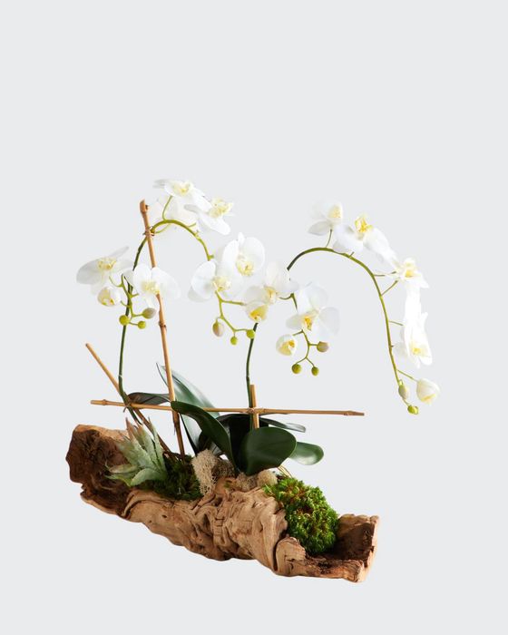 Organic Woody Orchids Arrangement