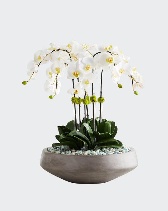 Concrete Bowl Filled with Flourite & White Orchids